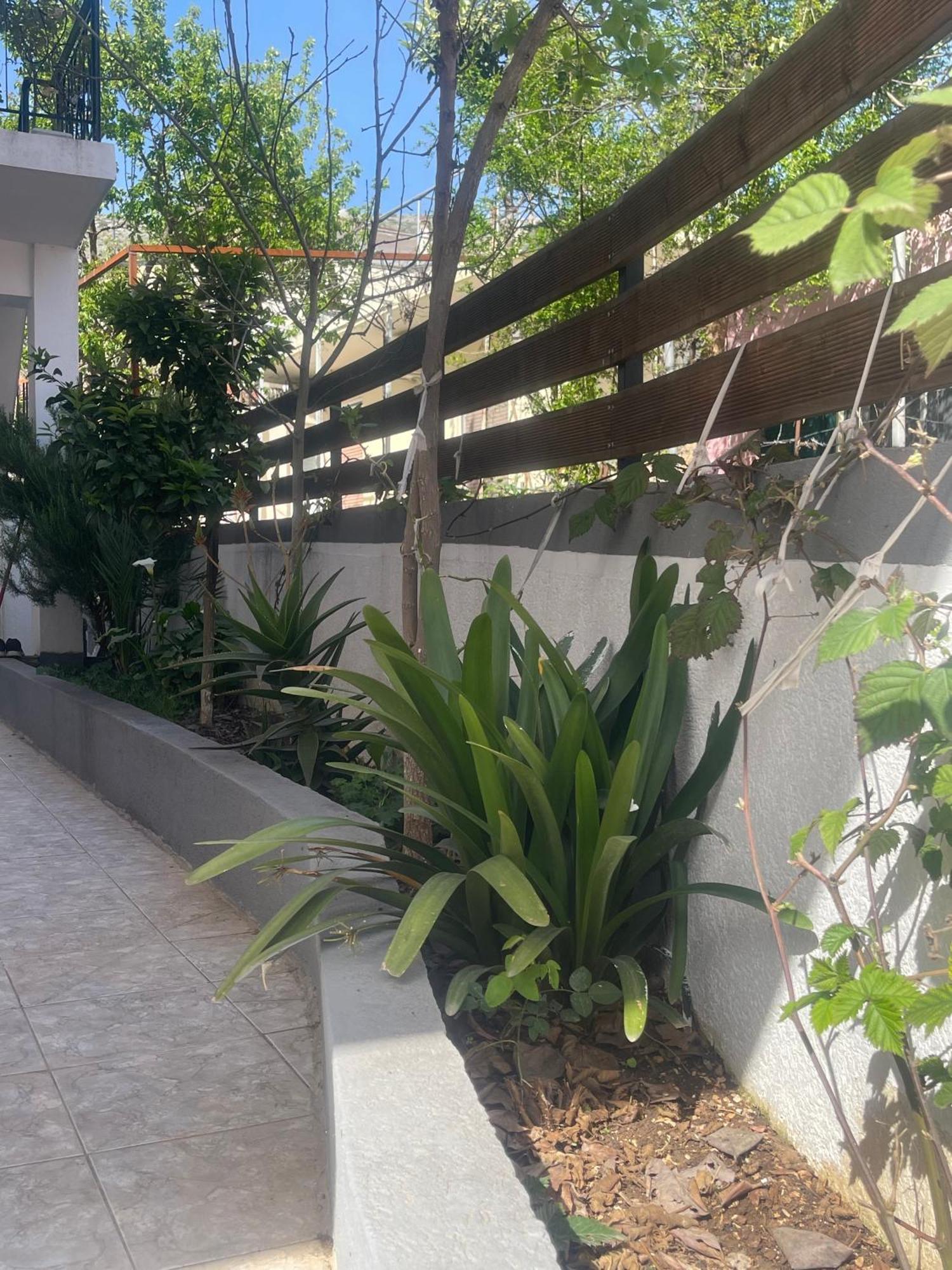 Sunflower Apartments Sarande Exterior photo